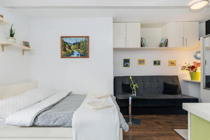Cosy Studio Apartment كراكوفيا المظهر الخارجي الصورة