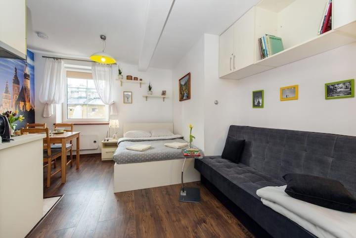 Cosy Studio Apartment كراكوفيا المظهر الخارجي الصورة