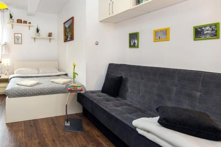 Cosy Studio Apartment كراكوفيا المظهر الخارجي الصورة